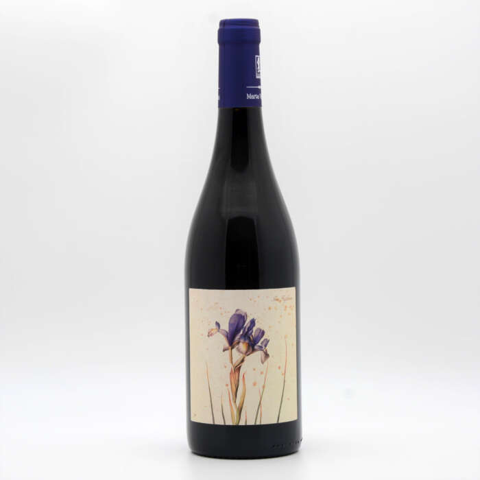 Sangiovese Castrocaro "Crete Azzurre" - Marta Valpiani